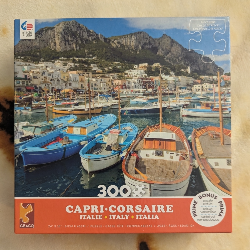 BRAND NEW UNOPENED 300 Piece Puzzle